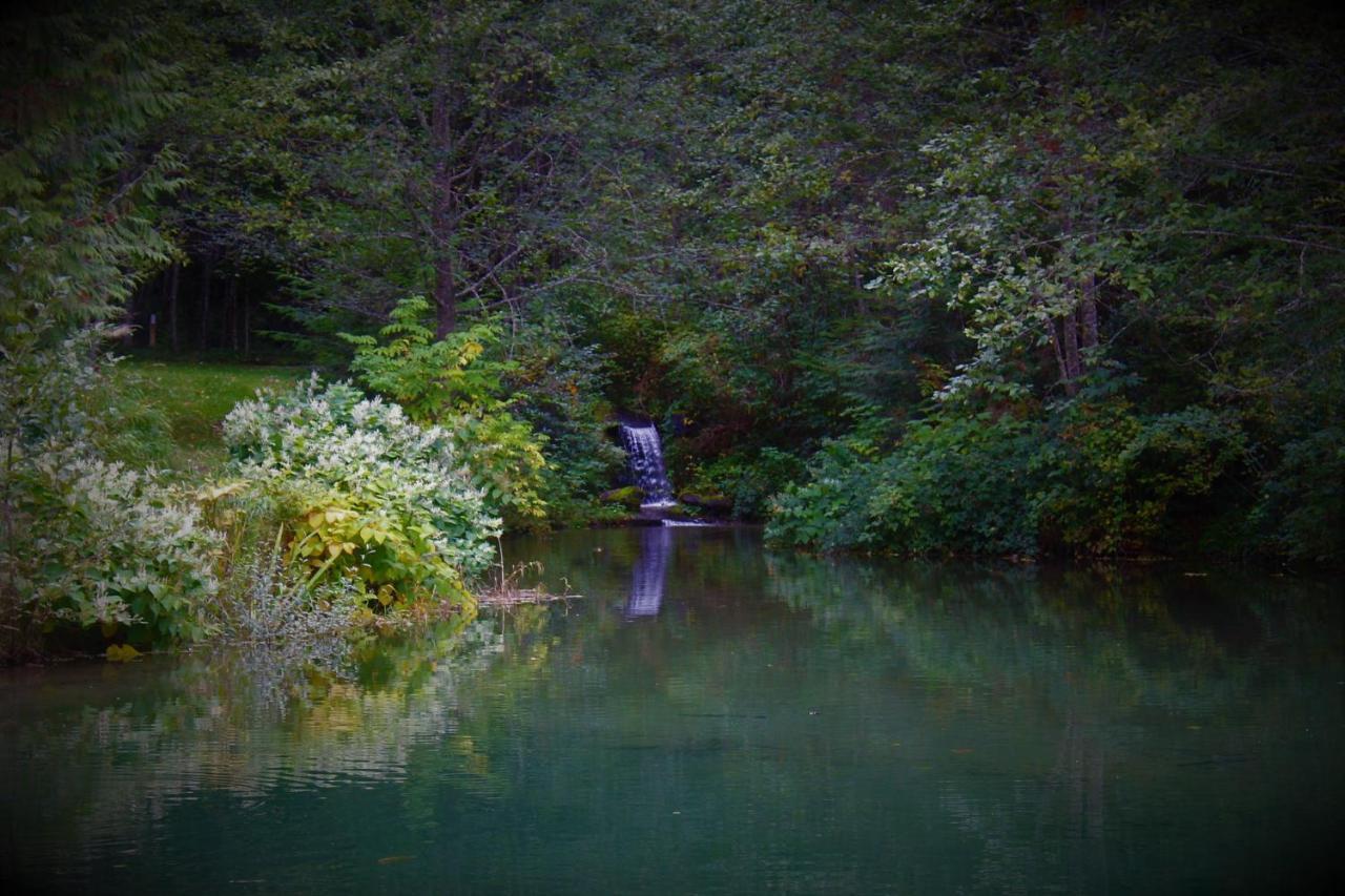 Alexander'S Lodge Ashford Bagian luar foto