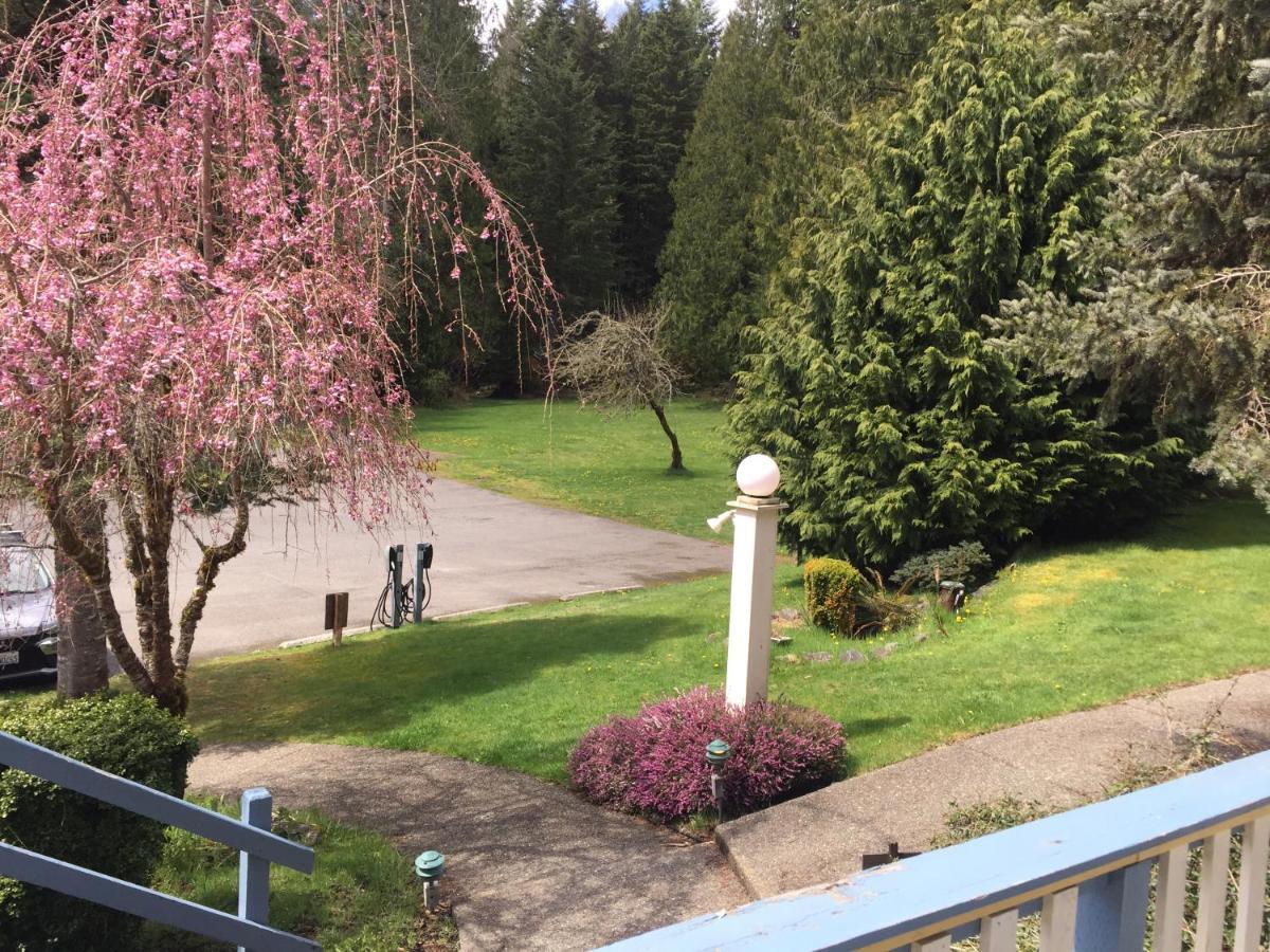 Alexander'S Lodge Ashford Bagian luar foto